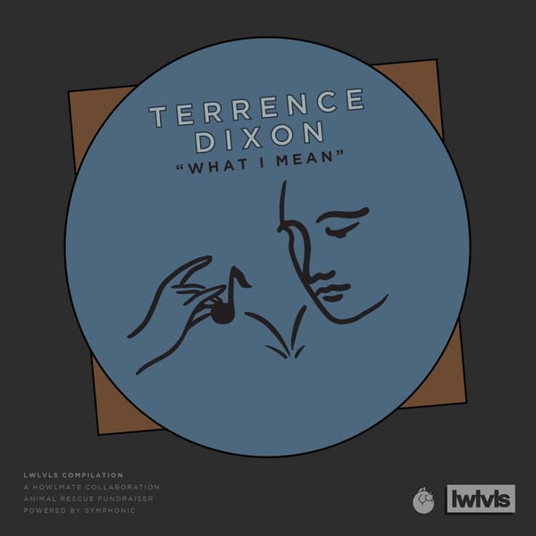 What I Mean cover