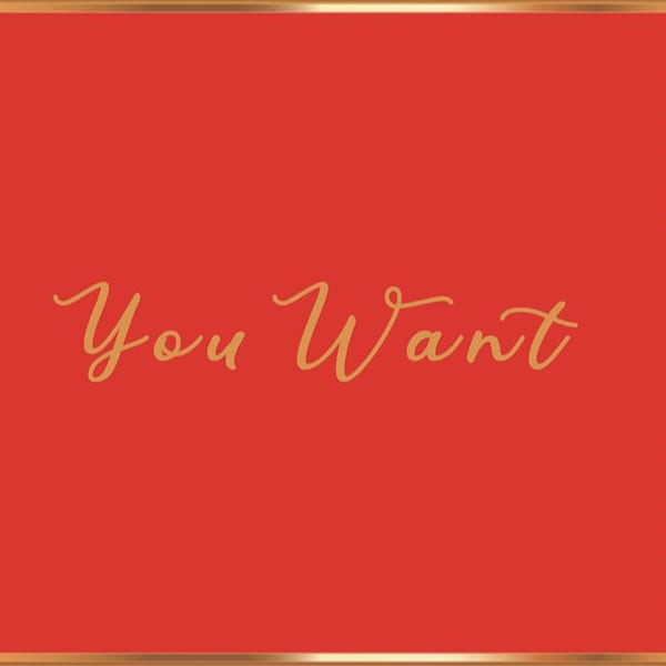 You Want cover