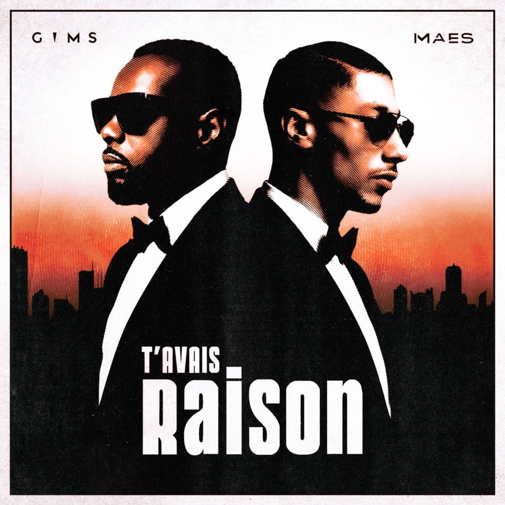 T'avais raison cover