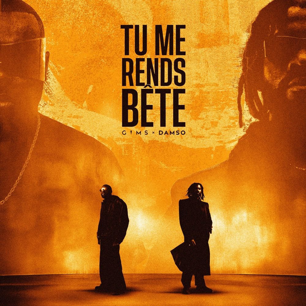 TU ME RENDS BÊTE cover
