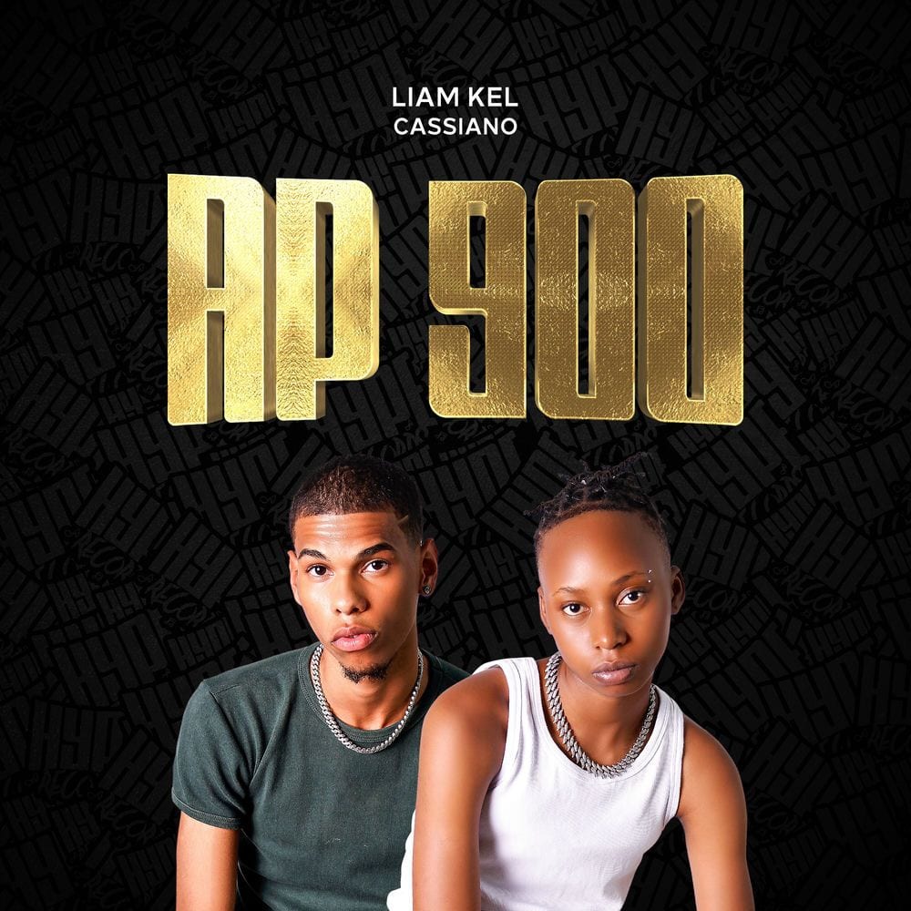 Ap 900 cover
