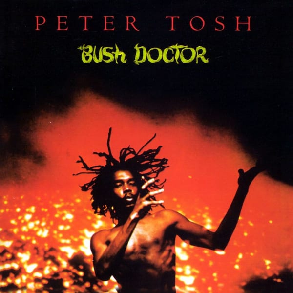 Bush Doctor album cover