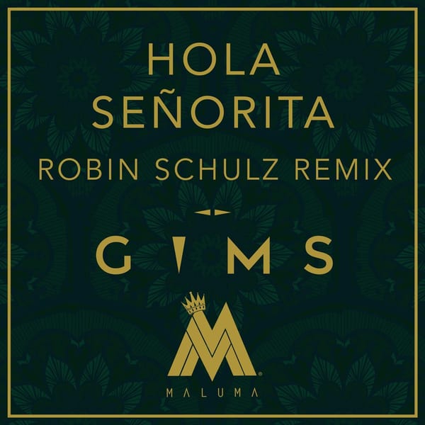 Hola Señorita (Robin Schulz Remix) cover