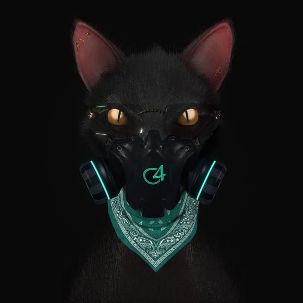 Gato de Noche cover