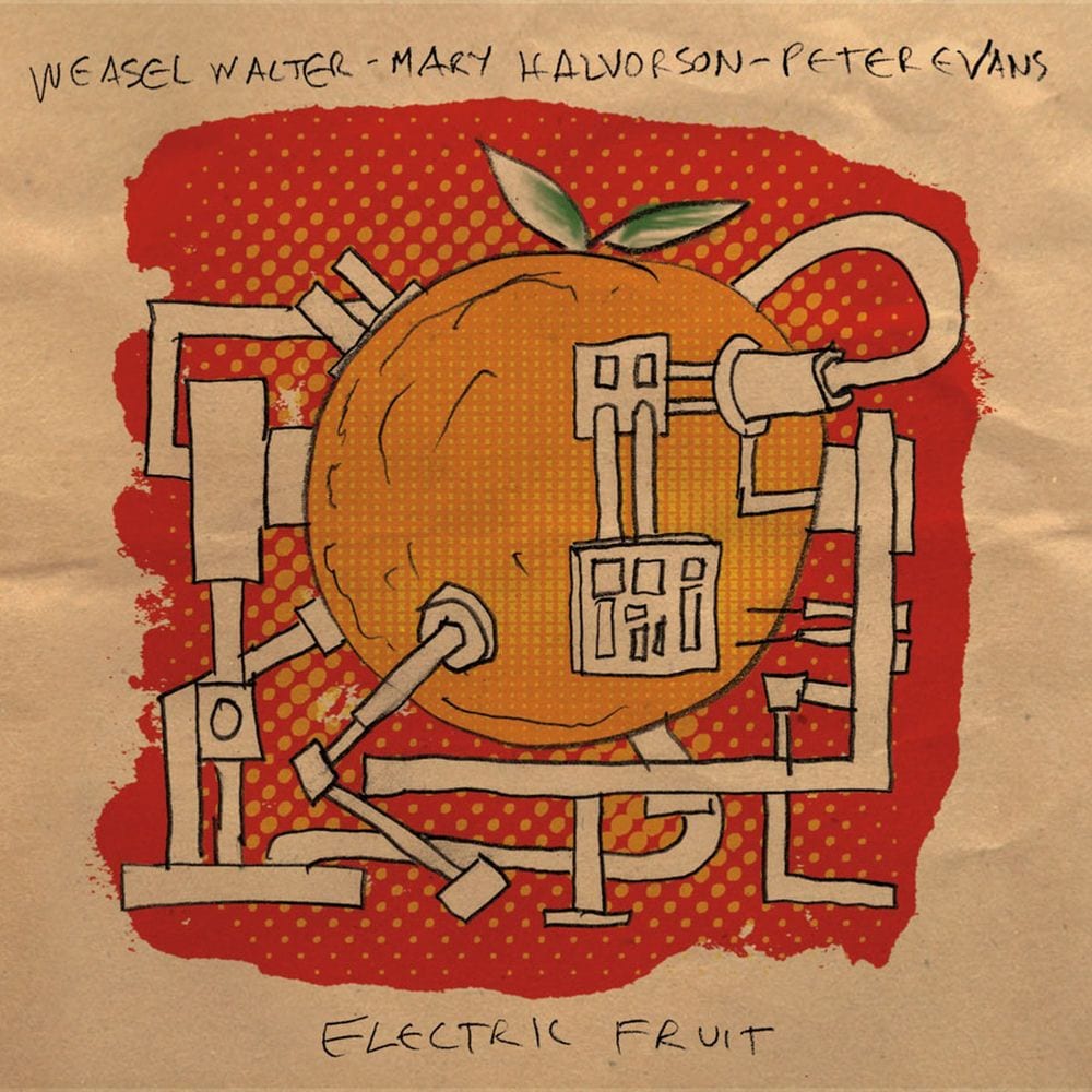 Electric Fruit cover