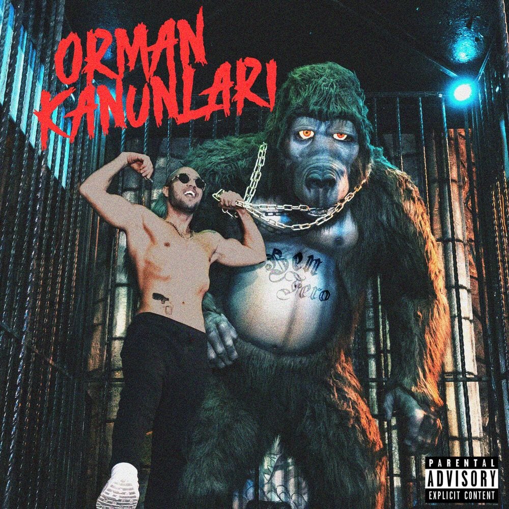 ORMAN KANUNLARI cover