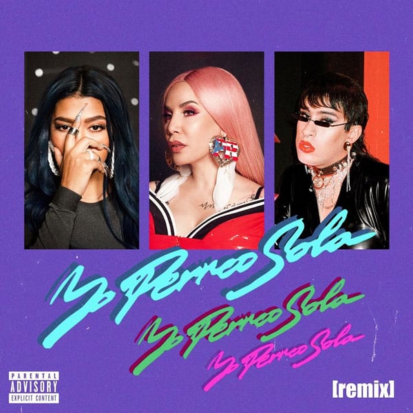 Yo Perreo Sola (Remix) cover