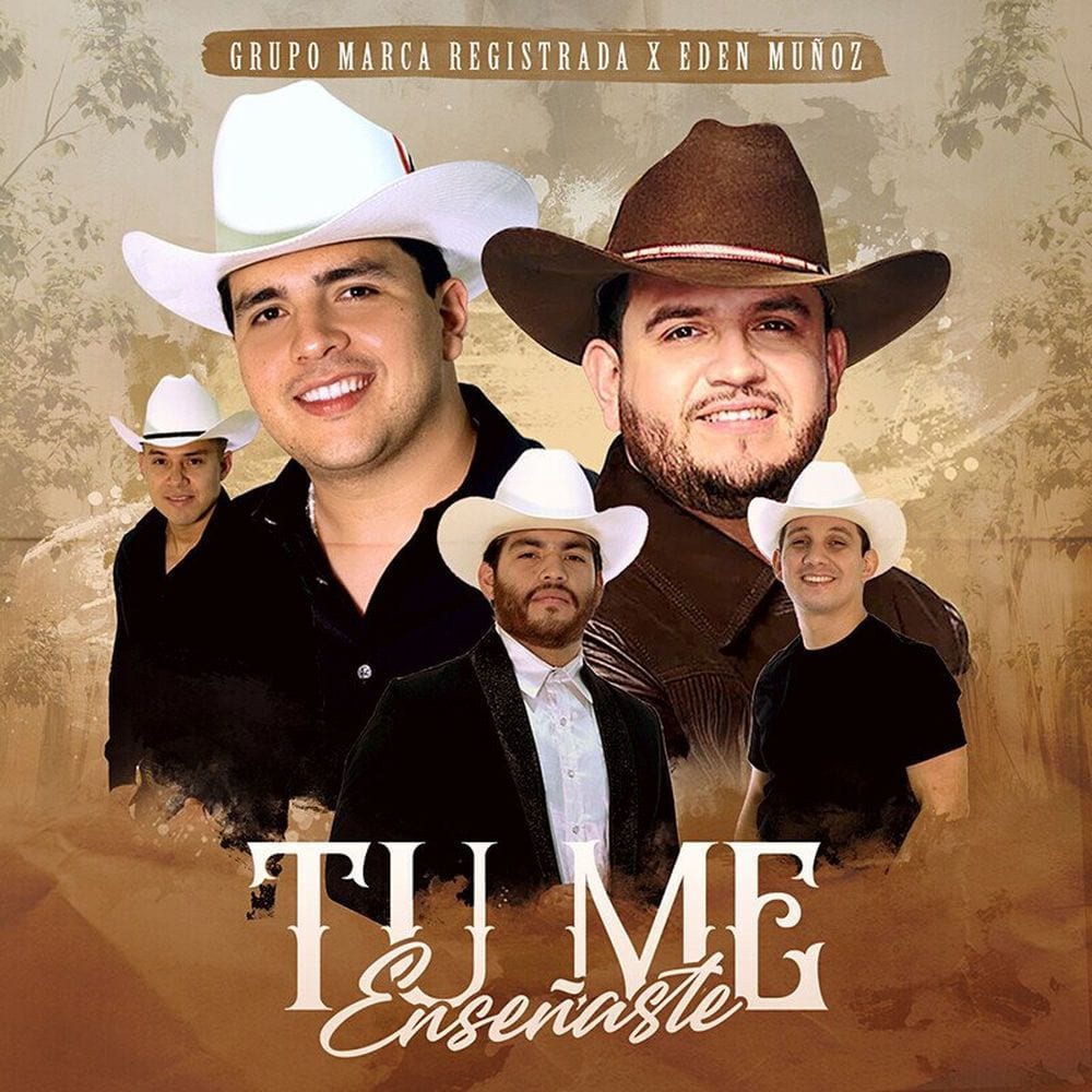 Tu Me Enseñaste cover