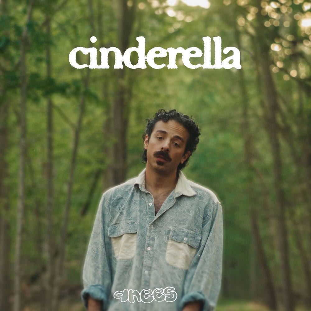 cinderella album cover