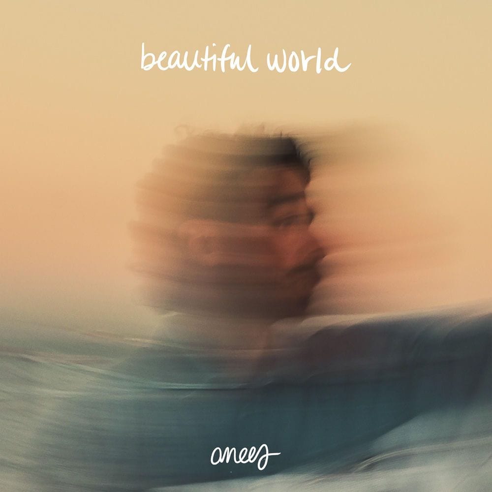 beautiful world album cover