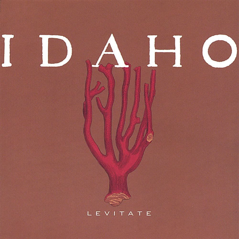 Levitate cover