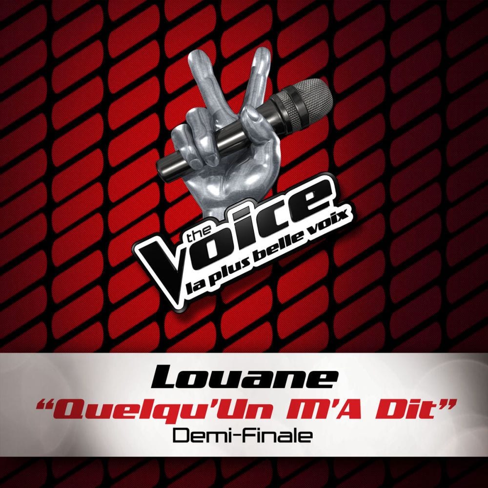 Quelqu'Un M'A Dit - The Voice 2 cover