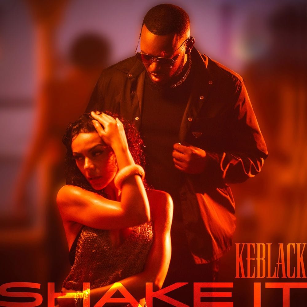 Shake It cover
