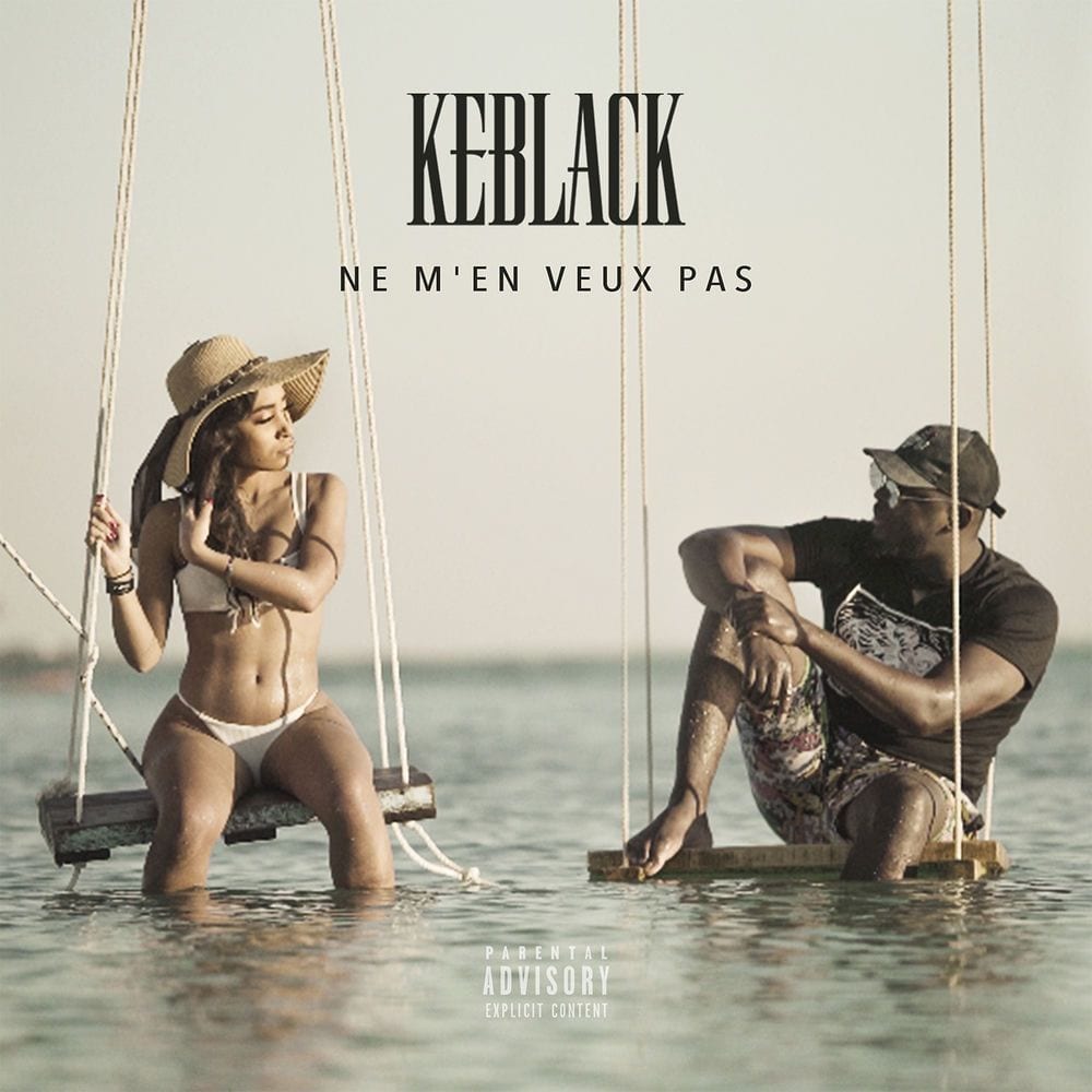 Ne m'en veux pas cover
