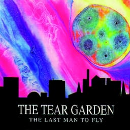 The Last Man To Fly album cover