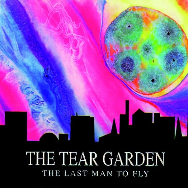 The Last Man To Fly album cover