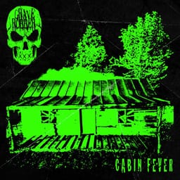 Cabin Fever album cover
