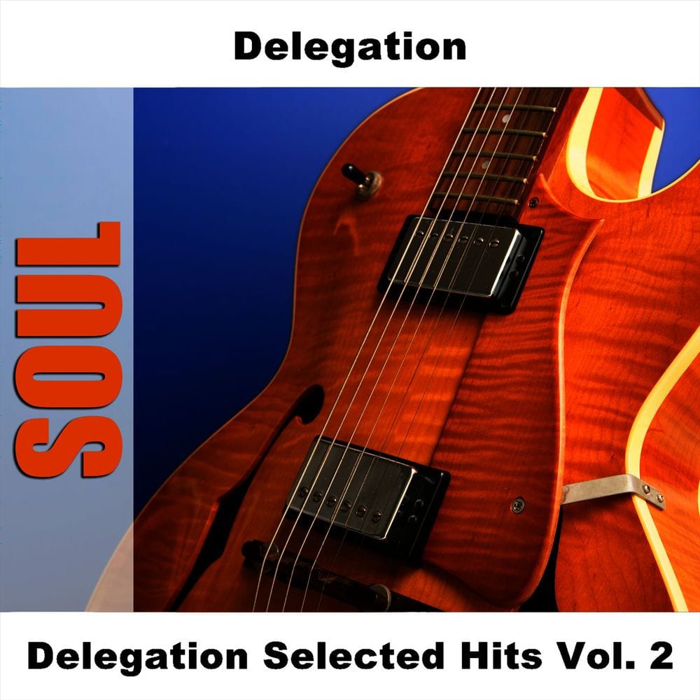 Delegation Selected Hits Vol. 2 cover