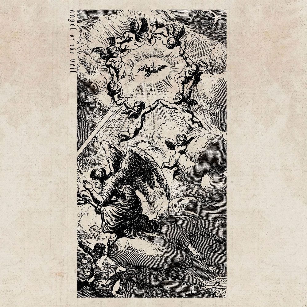 Angel of the Veil cover