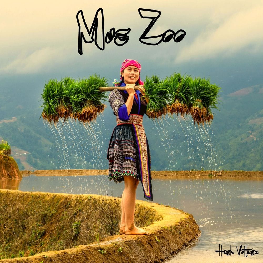 Mus Zoo cover