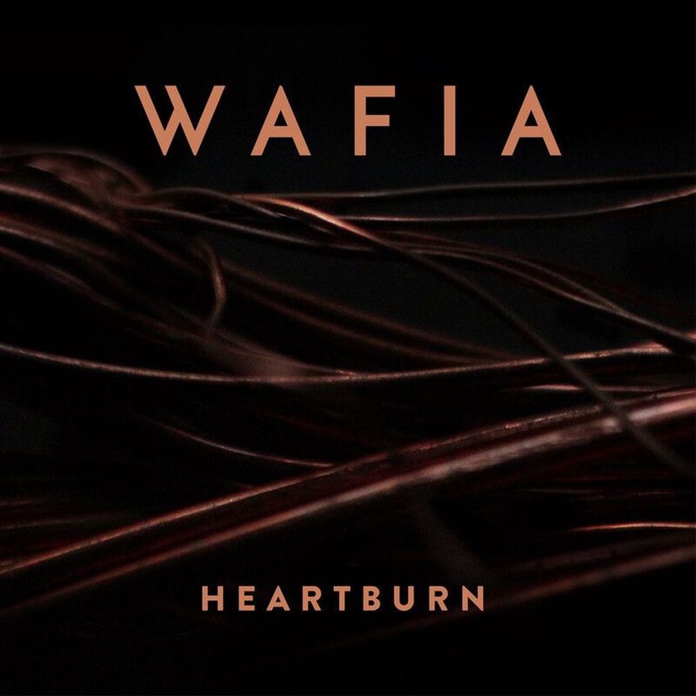 Heartburn (10 year anniversary edition) cover