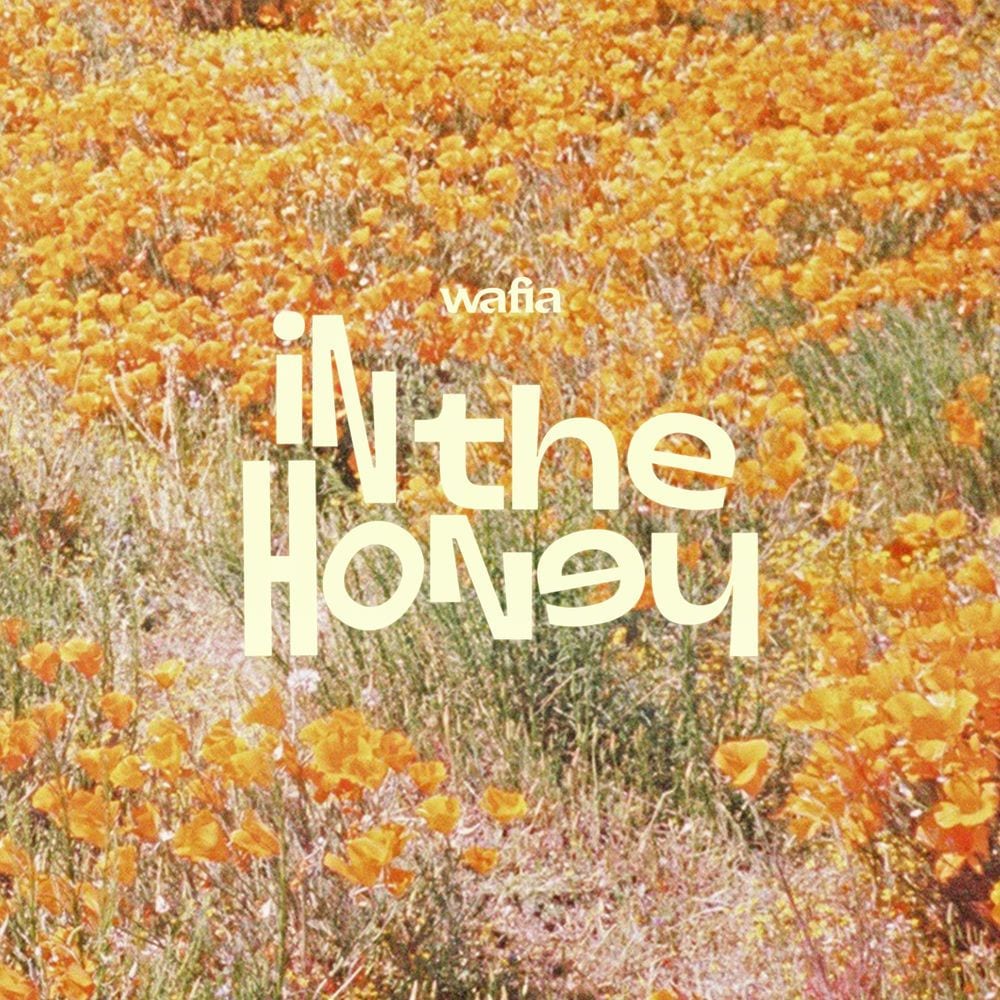 In the Honey cover