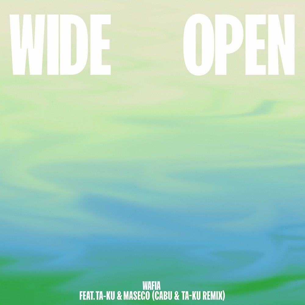 Wide Open (feat. Ta-ku & Masego) (Cabu & Ta-ku Remix) cover