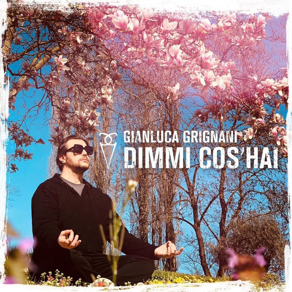 Dimmi Cos'Hai cover