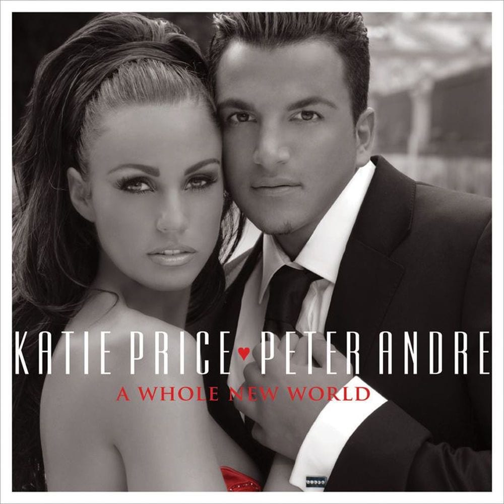 A Whole New World cover