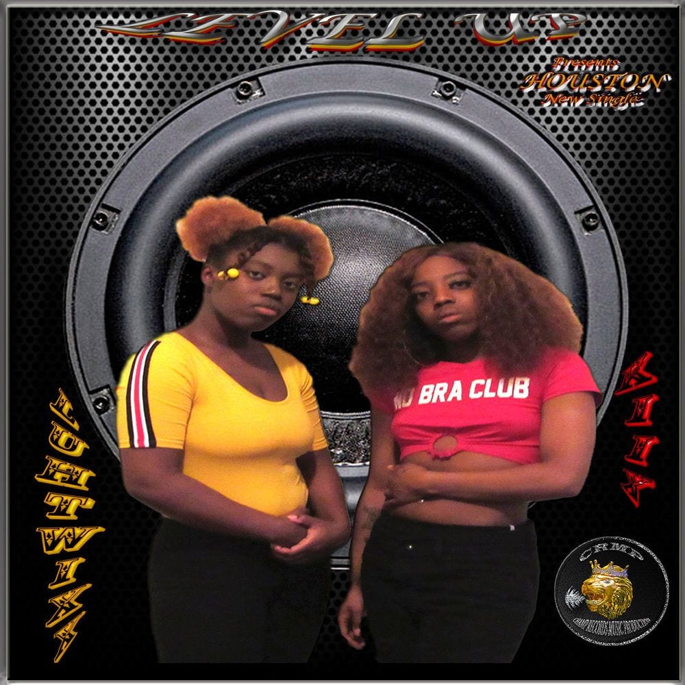 Houston cover