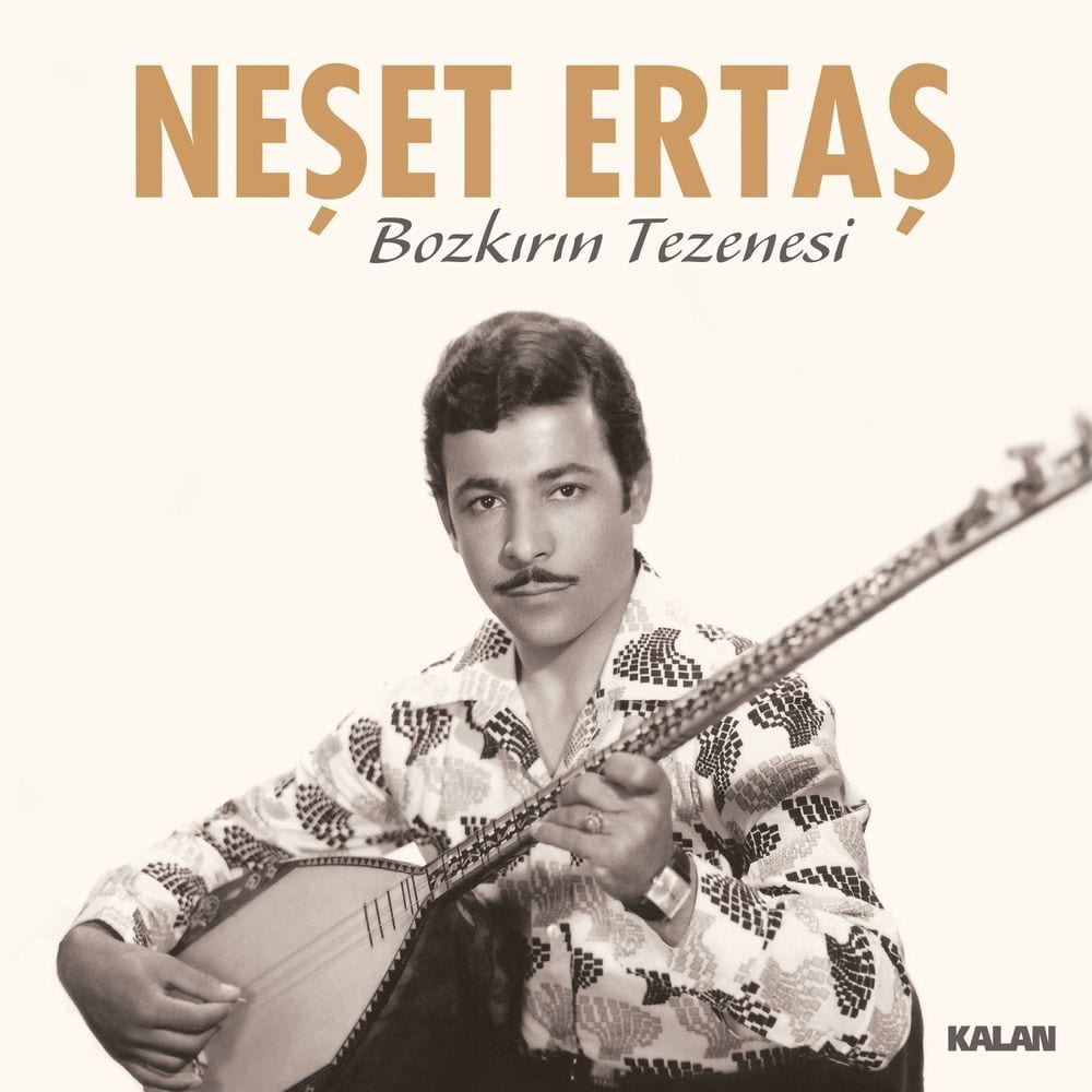 Bozkırın Tezenesi cover