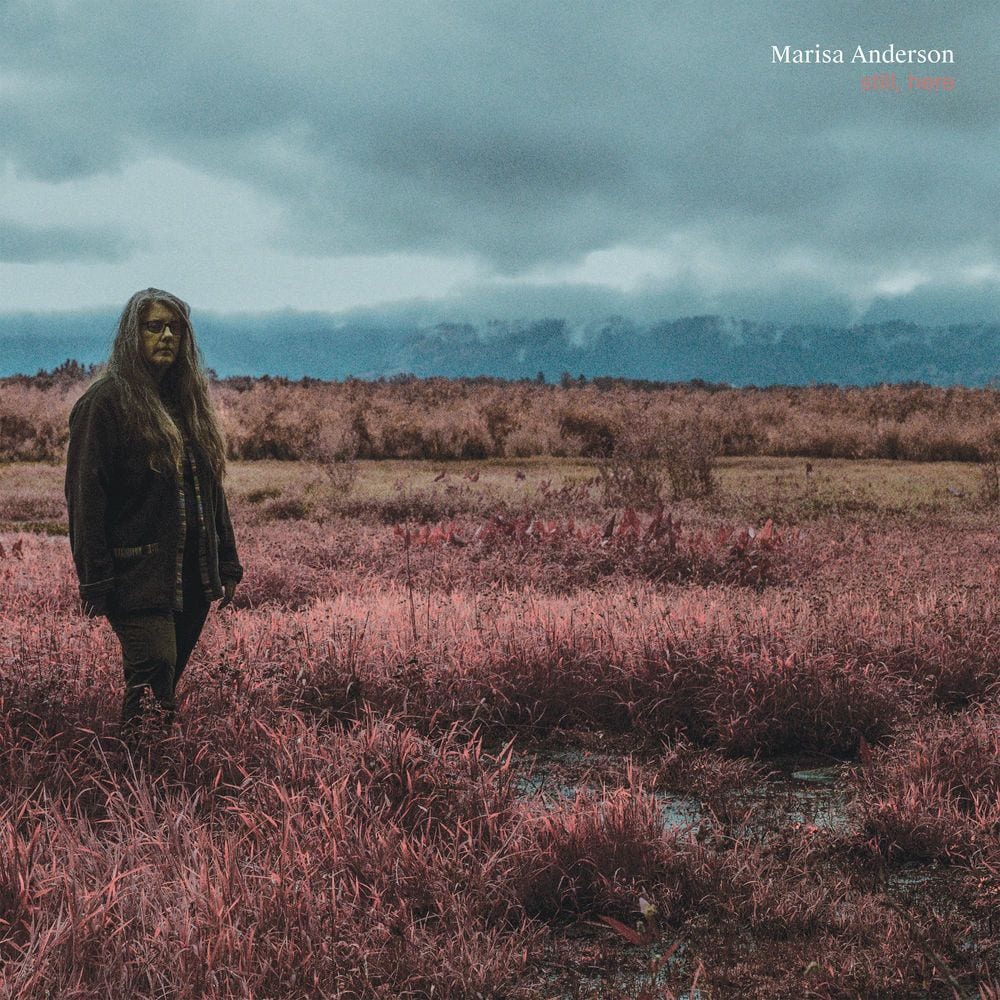 Still, Here cover