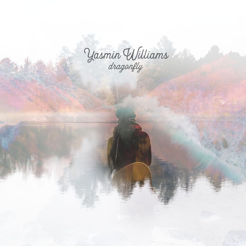 Dragonfly cover