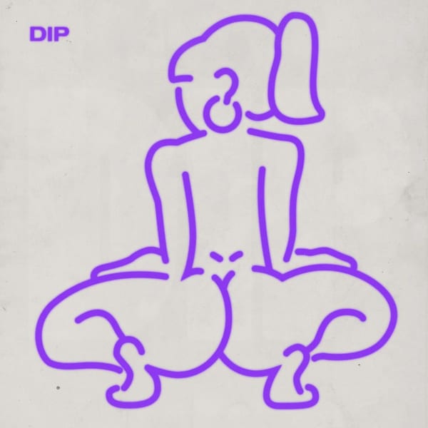 Dip cover