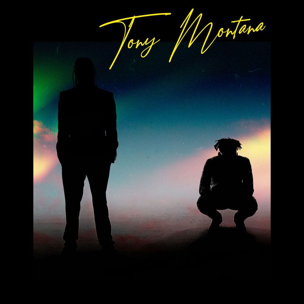 Tony Montana cover