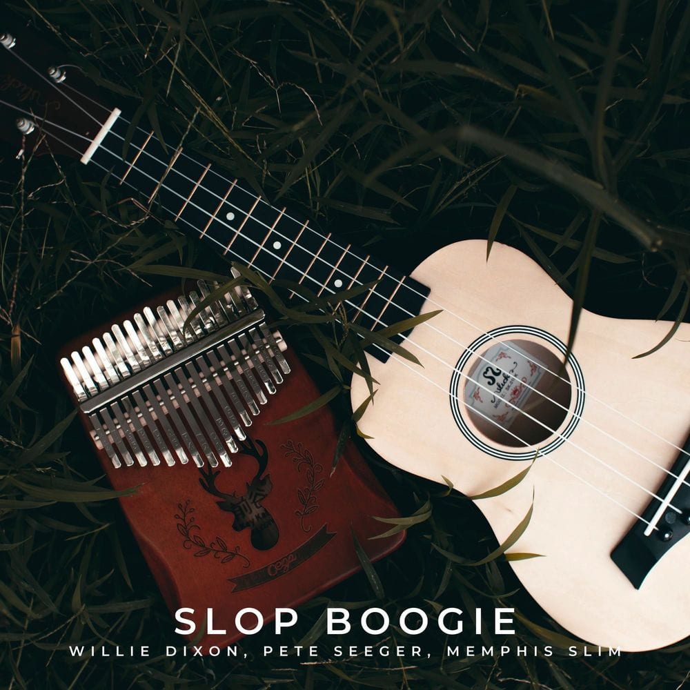 Slop Boogie cover