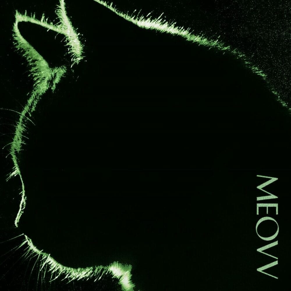 TOXIC cover