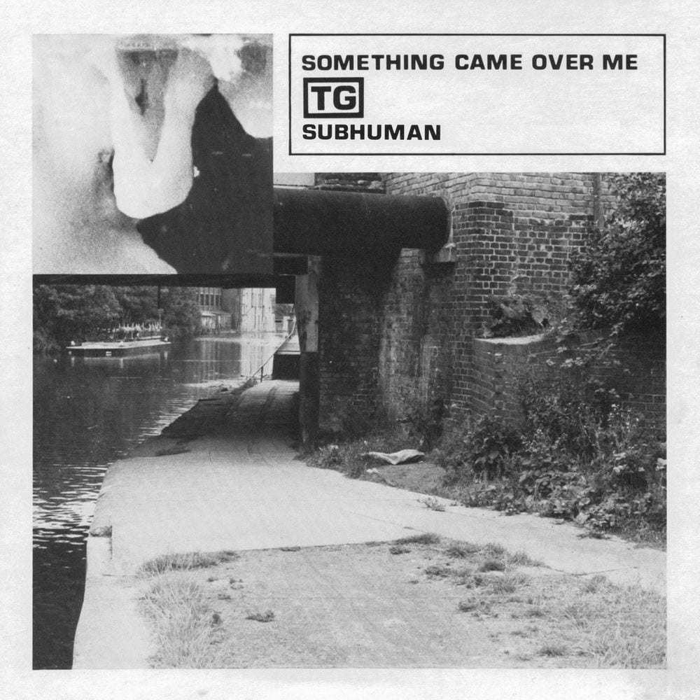 Subhuman / Something Came Over Me cover