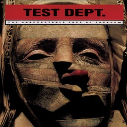 The Unacceptable Face of Freedom album cover