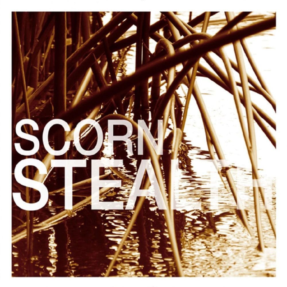 Stealth cover