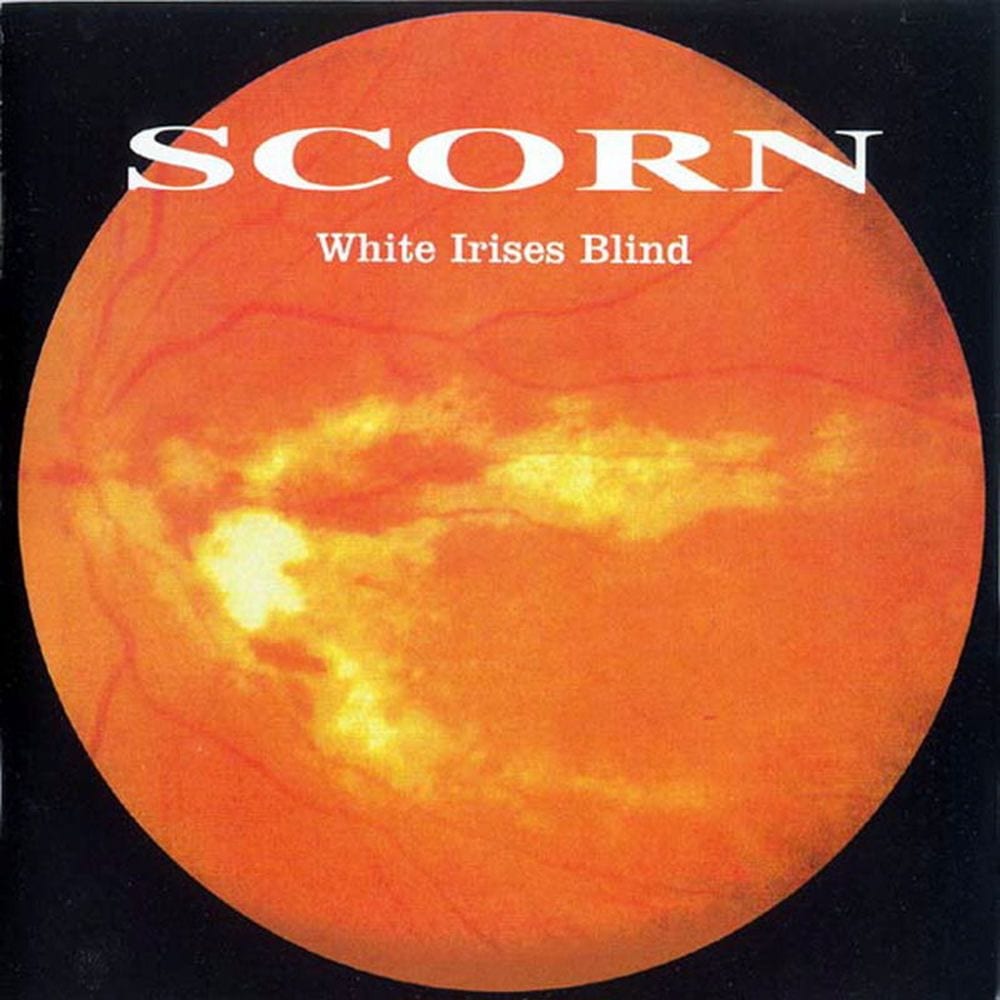 White Irises Blind cover