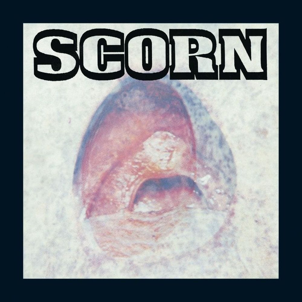 Vae Solis cover