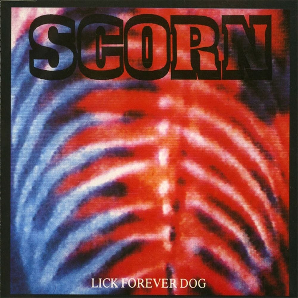 Lick Forever Dog cover