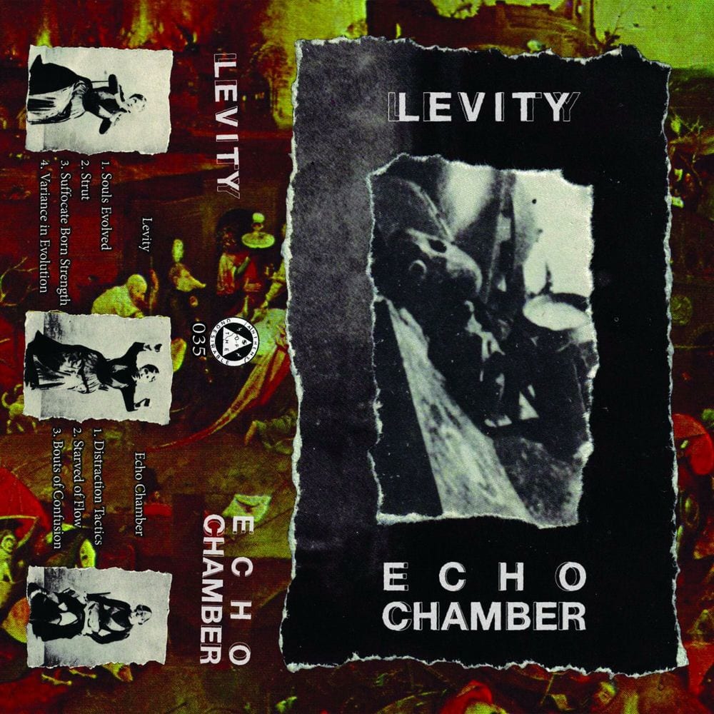 Levity / Echo Chamber Split cover