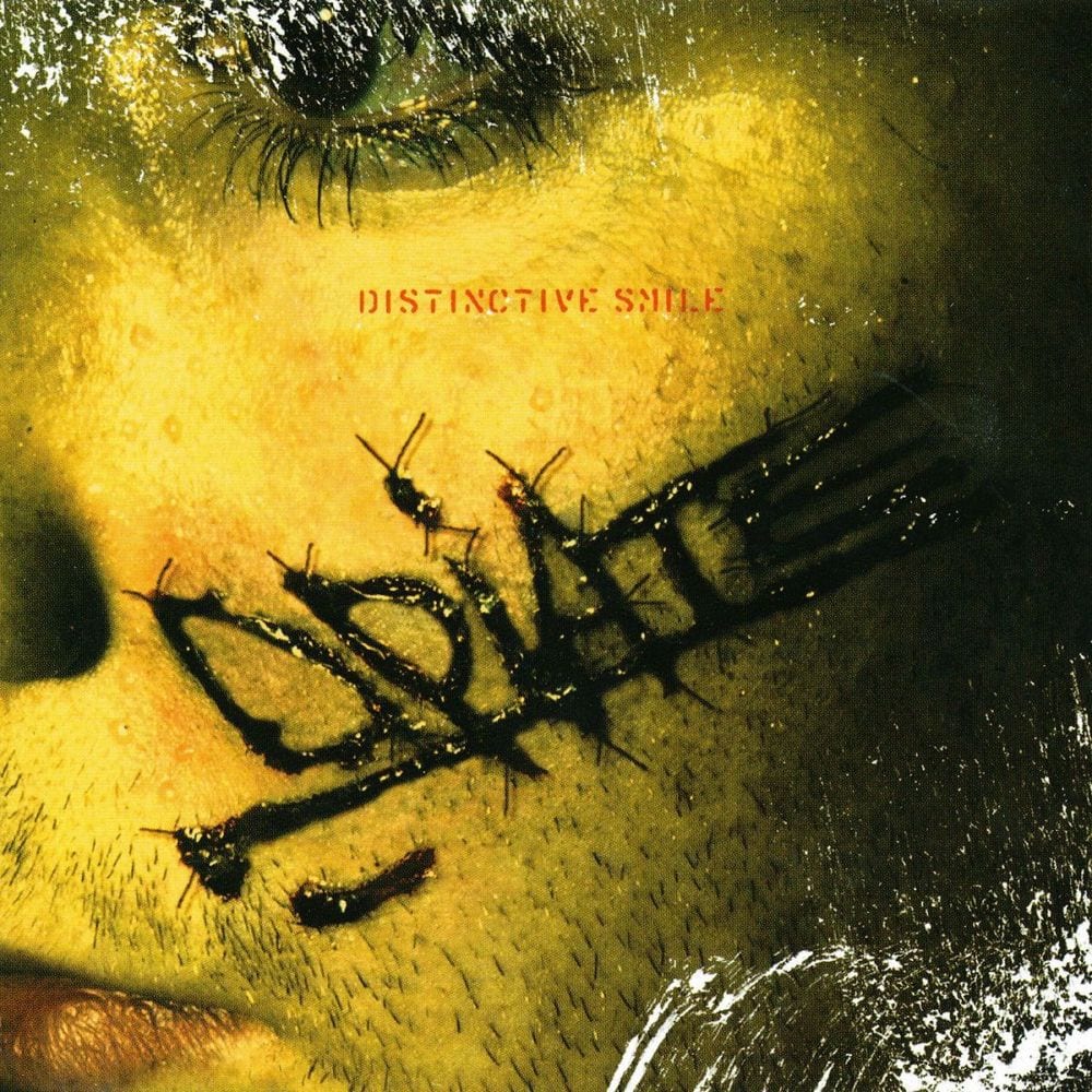 Distinctive Smile cover