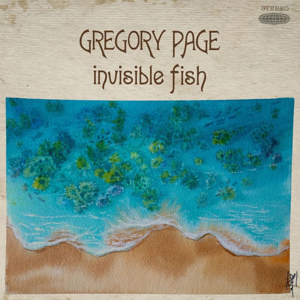 Invisible Fish