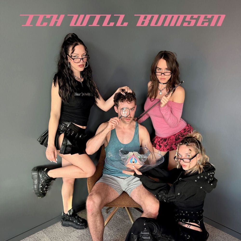 ICH WILL BUMSEN cover