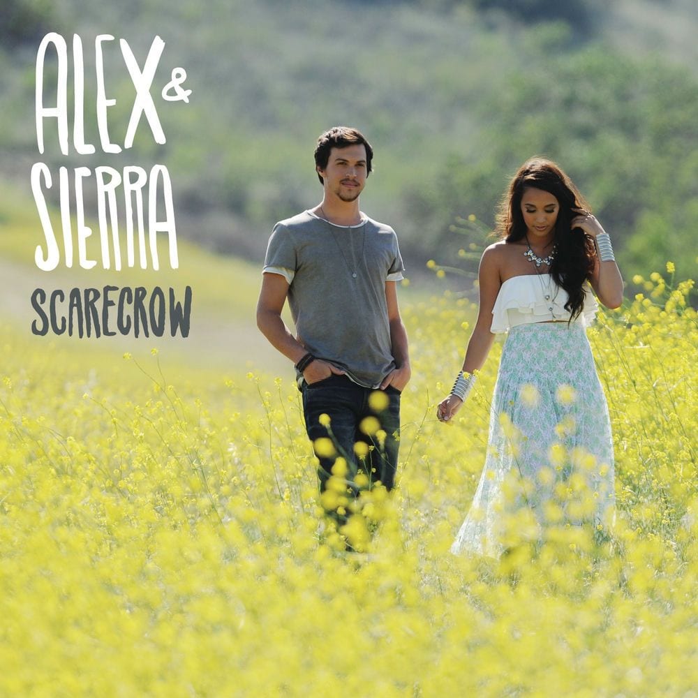 Scarecrow cover