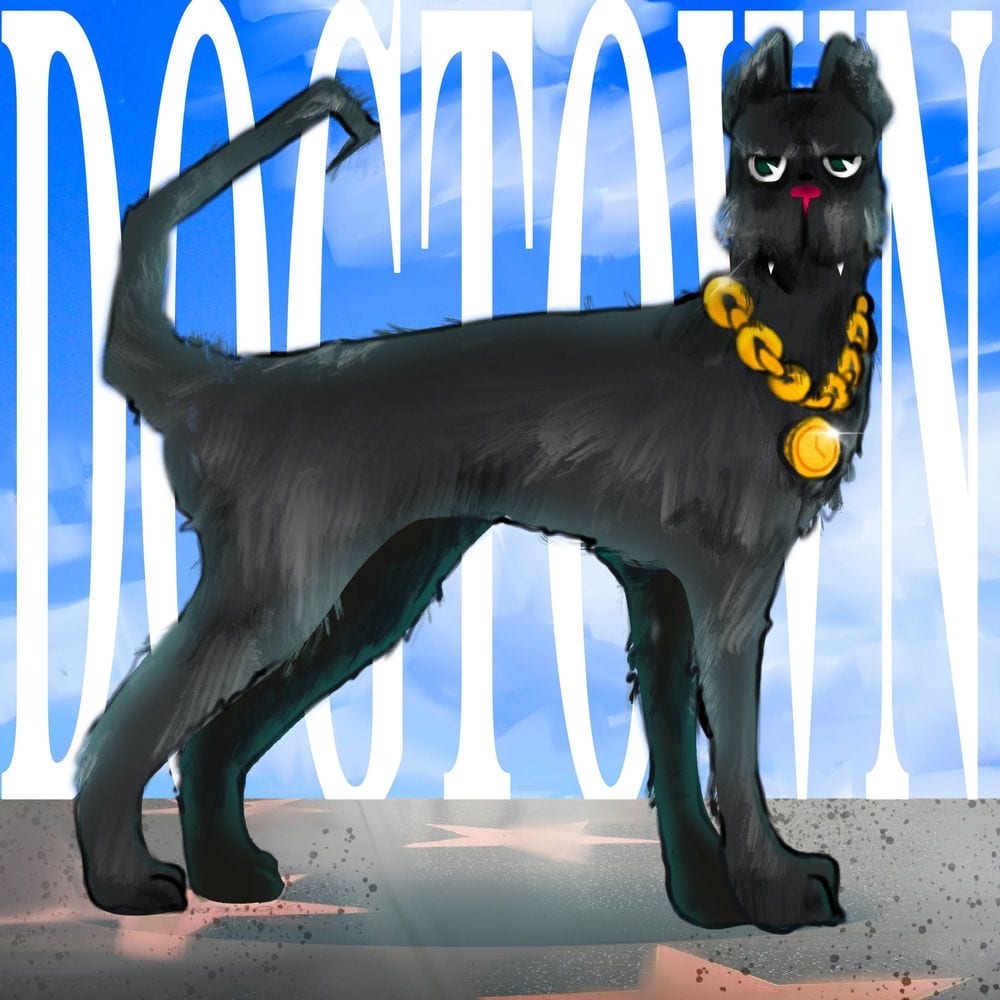 DOG TOWN cover