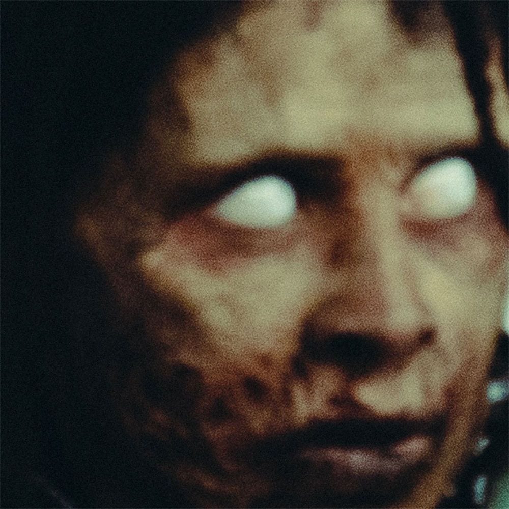 Lupo cover